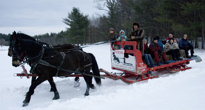 Cheval cabane à sucre